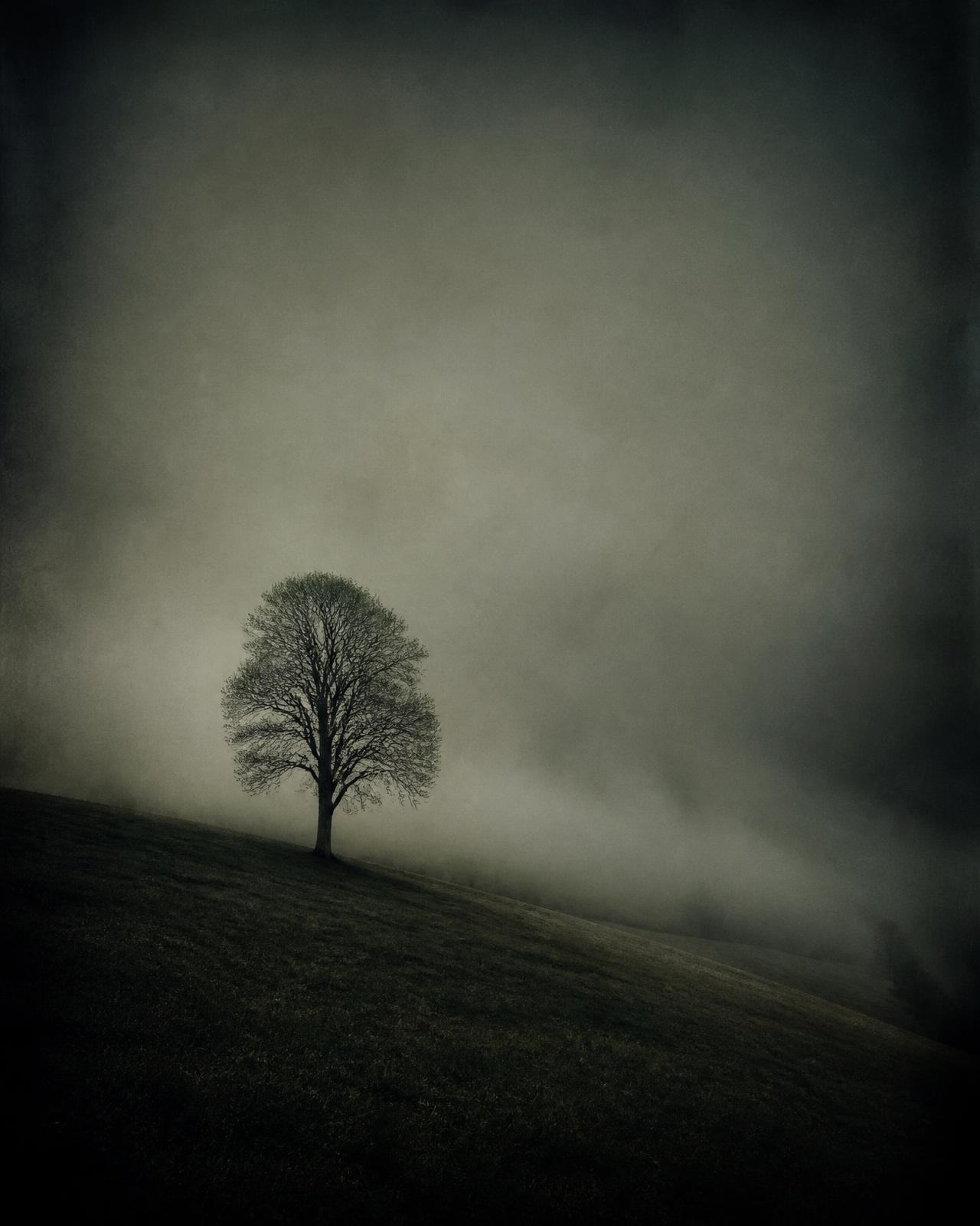 Solitude